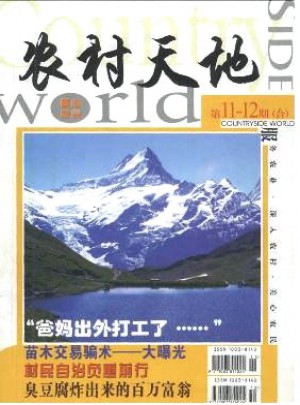 农村天地杂志 