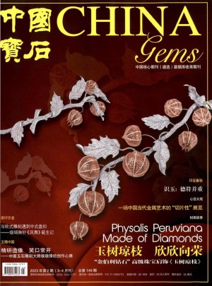 中国宝石杂志 