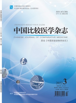 中国比较医学杂志 
