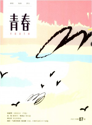 青春杂志 