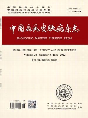 中国麻风皮肤病杂志 