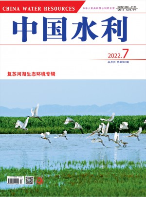 中国水利杂志 