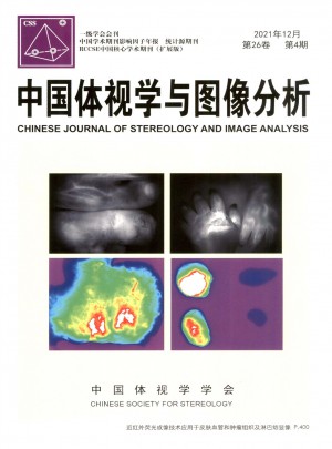 中国体视学与图像分析杂志 