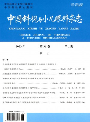 中国斜视与小儿眼科杂志 