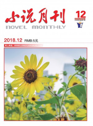 小说月刊杂志 