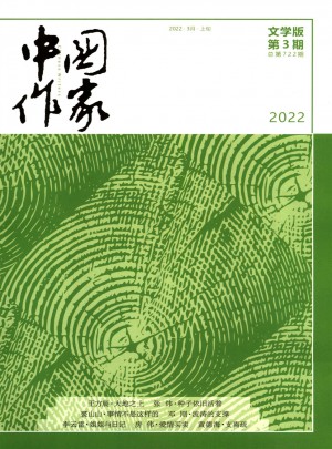 中国作家杂志 