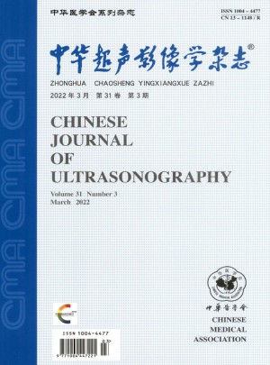 中华超声影像学杂志 