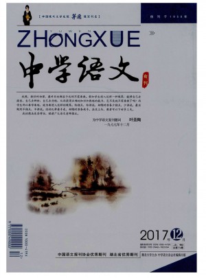 中学语文杂志 