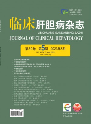 临床肝胆病杂志 