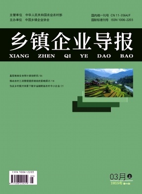 乡镇企业导报